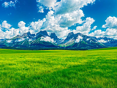 Grassland and Mountains with Blue Sky and Clouds in the Background